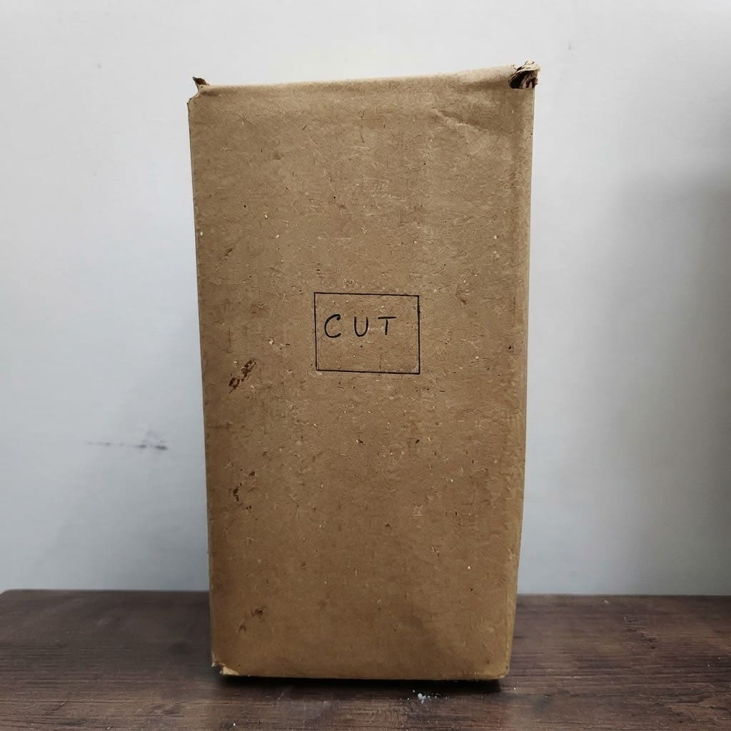 Mushroom Growing Kit - Oyster Mushroom Seeds for Home ( Grow Your Own Kits ) - 1 Packet Mushroom Spawn + Straw + PP Bag - DIY Project