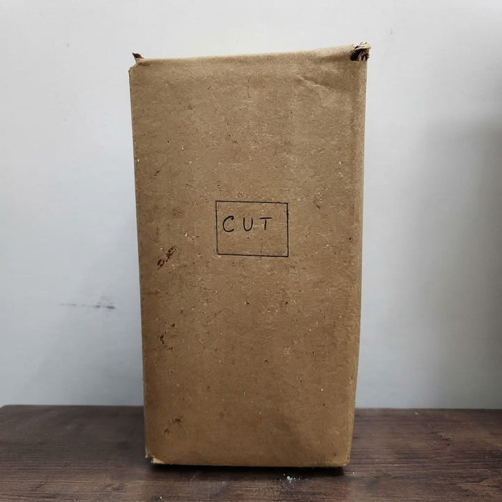 Mushroom Growing Kit - Oyster Mushroom Seeds for Home ( Grow Your Own Kits ) - 1 Packet Mushroom Spawn + Straw + PP Bag - DIY Project