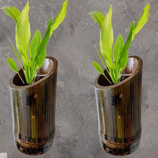 Gachwala Natural Medium Bamboo Planter (Set of 2) / Wooden Container - Garden Decoration Planters/Pot for Balcony - Plants Decorative Accessories (15 to 25 CM) - B9