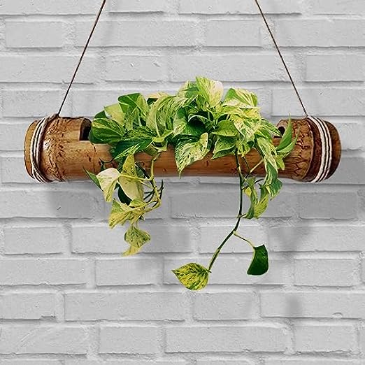 Gachwala Natural Bamboo Planter/Wooden Container - Garden Decoration Planters/Pot for Balcony - Plants Decorative Accessories (Medium Bamboo Planter (Length 35 to 42 cm) - B3)