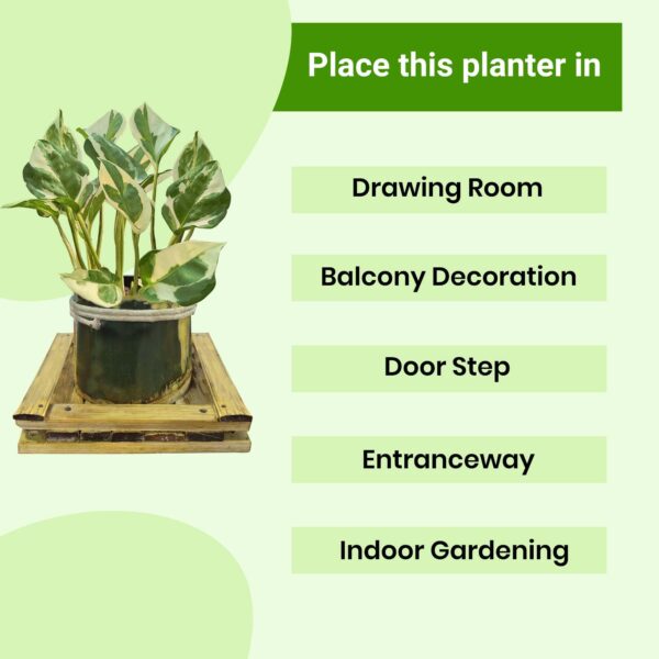 Bamboo Nest Planter (B21) – Eco-Friendly Decorative Pot | Natural Bamboo | Ideal for Indoor Plants; Succulents; Tabletop Décor; Home &amp; Office Use (Approx 12cm Height) (Plant Not Included)