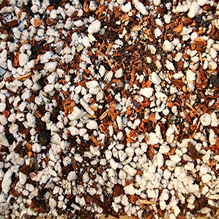 Hoya Dischidia Plant Fertilizer (Special Manure) | Homemade Fertilizer | Environmentally Friendly 100% Organic Product | Good for Plant Growth - 500 GM/1 Kg