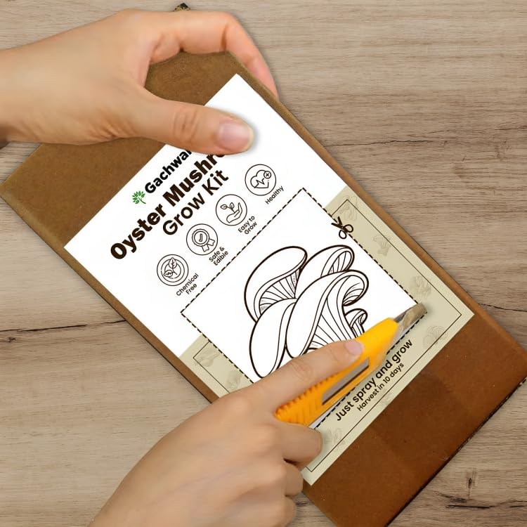 White Oyster Mushroom Growing Kit - Grow Your Own Mushroom in 10 Days | Ready to Harvest Organic Oyster Mushroom, Indoor Mushroom Growing Kit
