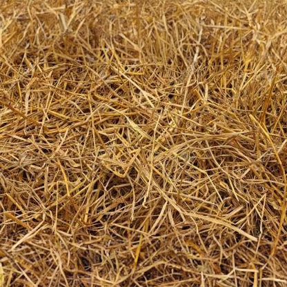 Paddy &amp; Rice Straw Mulch: Ideal for Gardens, Beds, Vegetables, Flowers, Fruits, Pots, Trees, and Shrubs - Available in 500GM, 1KG, and 2KG Packs - Perfect for Straw Mulching