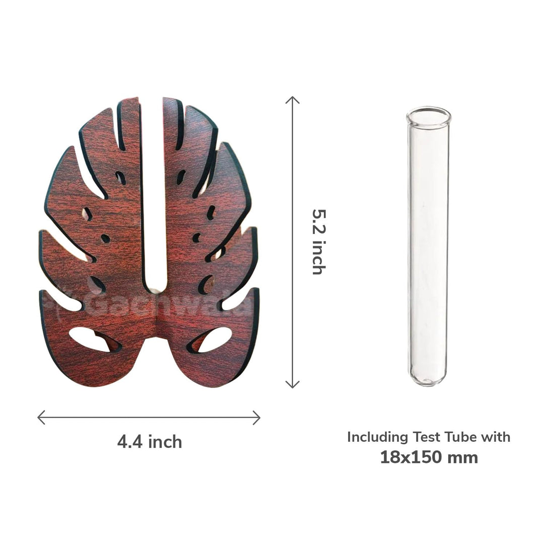 Monstera Leaf Plant Holder with Thin Test Tube | Aesthetic Flower Vase for Home Decor | Table Decoration Item for Living Room &amp; Bedroom | Decorative Planter for Office &amp; Home Decoration
