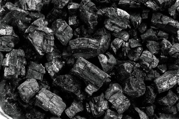 Wood Charcoal for Ornamental Plants Potting ,Orchid Potting, Terrarium Potting and other Horticulture purposes -Pack of 1 KG