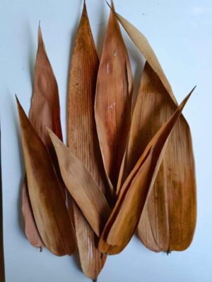 bambo leaves - dry bamboo leaves - bamboo large leaves